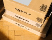 亚马逊的顶级纸板箱制造商面临着塑料邮件的挑战