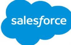 国内市场上还未走出一家真正意义上的Salesforce