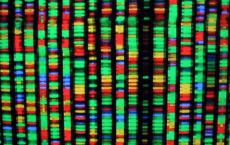 数据爆炸的时代DNA存储真的有未来