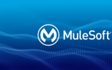 MuleSoft如何修复关键的安全漏洞并避免灾难