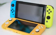 您如何管理软件并保存在第二台Switch上