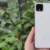 Pixel 4用户可以允许用户通过举起Pixel手机来调用Google Assistant