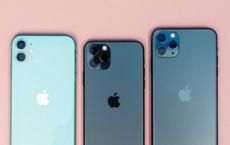 iPhone 11 Pro夜拍超猛夜间模式与旧款相比像是开了灯