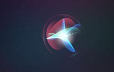 允许客户选择是否希望通过稍后的交互来帮助他们改进Siri