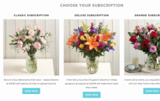 Serenata Flowers推出可定制的订阅服务