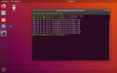 如何从Linux命令中将文件发送到垃圾箱
