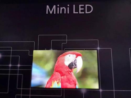 互联网动态：苹果首款Mini LED产品 iPhone 11前置摄像头评测 