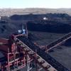 澳大利亚新希望公司周四表示动力煤的价格突然下跌