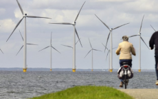 荷兰的可再生能源消费量比上一年增长了16％