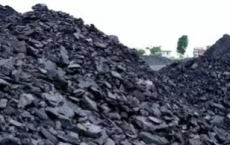 印度在6月18日进行的商业煤块拍卖