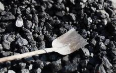 卡拉奇的目标是在能源结构中将煤炭份额提高30％