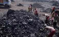 CIL为煤炭进口商推出独家拍卖